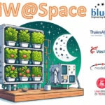 LiW@Space logo